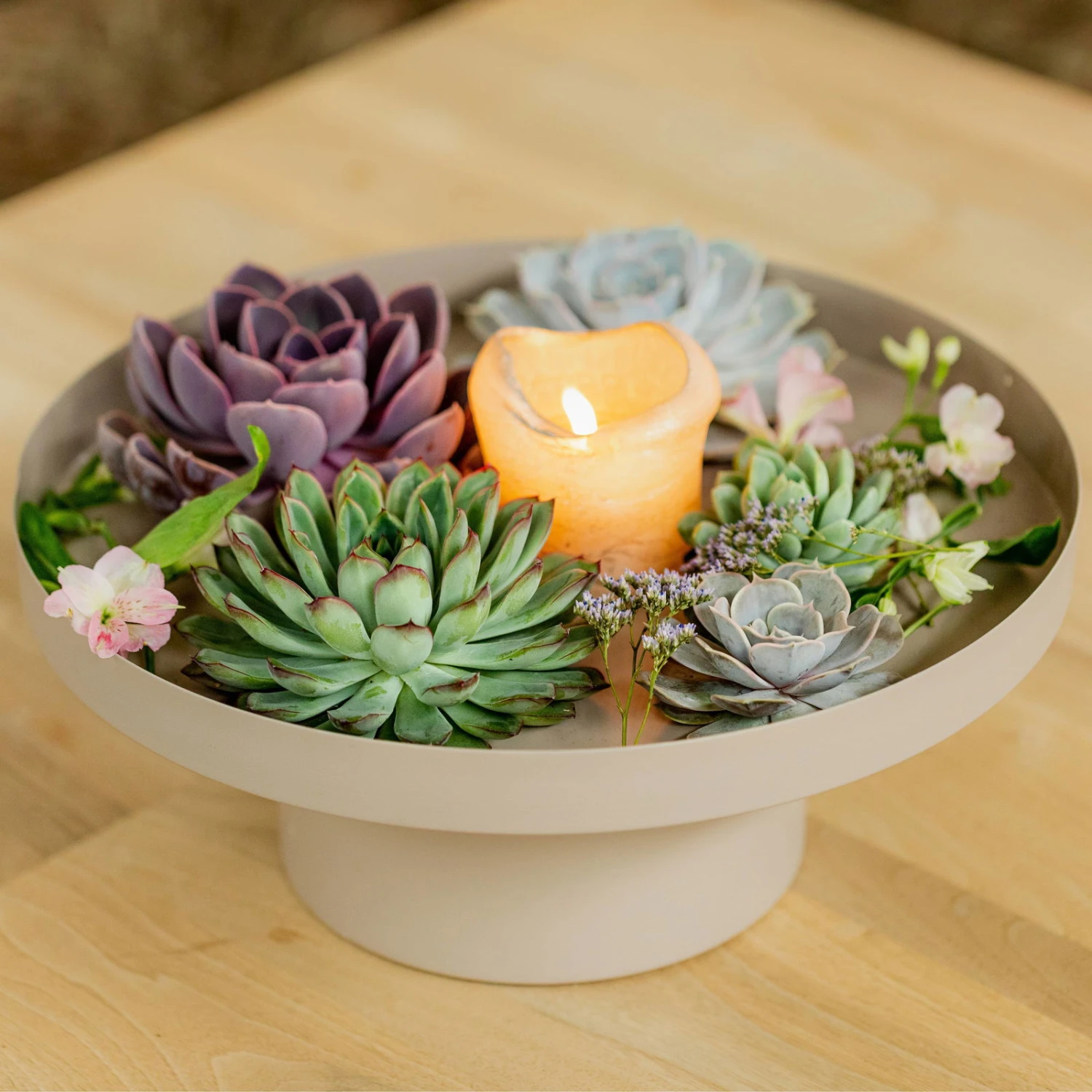 Schnitt-Echeveria Mix, 5 Stück In DIY Box, 7-10 Cm Ø 4 Schnitt-Echeveria Mix, 5 Stück In DIY Box, 7-10 Cm Ø – Bild 2