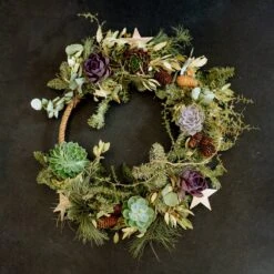 Schnittecheverien-Mix, Ø 8 Cm, 8er-Set -Günstiges Saat Zeit Geschäft 0250103364 Echeveria Mix 7 10cm in DIY Box 5 117175