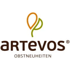 Kölle Bio Zwergaprikose 'Aprigold'®, Topf 7,5 Liter -Günstiges Saat Zeit Geschäft 048067 ARTEVOS Logo 107721