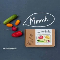 Mini-Gemüse' Saatgut: Balkonpaprika, Snackgurken, Obsttomaten, Radieschen -Günstiges Saat Zeit Geschäft 0710102936 Lunchbox Garten mit Minigemuese 2 87439