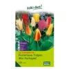 XXL Fosteriana Tulpen Mix Papiertüte 100 Blumenzwiebeln -Günstiges Saat Zeit Geschäft 0720100720 kb xxl fosteriana tulpen mix papierturte weiss rot lila gelb orange gr 11 12 100 st 1 76084