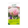 Tulpen 'Foxtrott', Rosa, 40 Blumenzwiebeln 1 Tulpen 'Foxtrott', Rosa, 40 Blumenzwiebeln -Günstiges Saat Zeit Geschäft 0720100846 KB Gefuellte fruehe Tulpen Foxtrot rosa 107153