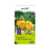 Kaiserkrone (Fritillaria Imperialis Lutea) Gelb, 3 Blumenzwiebeln -Günstiges Saat Zeit Geschäft 0720500237 kb fritillaria imperialis lutea gelb gr 20 3 st 1 76303