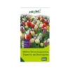 Überraschungsmischung Bauerngarten 75 Blumenzwiebeln -Günstiges Saat Zeit Geschäft 0720800123 kb ueberraschungsmischung bauerngarten 114240
