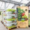Beeren- Und Naschobst-Erde Torffrei, 780l, 39 Sack á 20l, Palettenware -Günstiges Saat Zeit Geschäft 0960300198 Koelle Bio Beeren Naschobsterde torffrei 20l Halbpalette 39St 84613