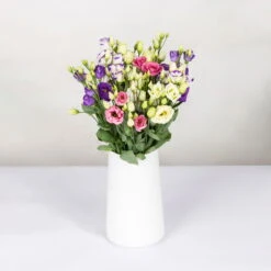 Gemischter Blumenbund 'Lisianthus' Inkl. Gratis Grußkarte -Günstiges Saat Zeit Geschäft 1015700001 Lisianthus Mix 10er Bund weiss blau rosa WS 2 94400