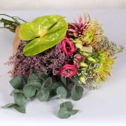 Gemischter Blumenbund 'Baltazar Mit Anthurie' Inkl. Gratis Grußkarte -Günstiges Saat Zeit Geschäft 1025700011 DIY Mixbund Baltazar mit Anthurie Chrysa Lisi Gypso Statice Euka Anthurie 2 94430