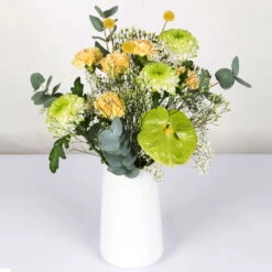 Gemischter Blumenbund 'Grüne Schönheit' Inkl. Gratis Grußkarte -Günstiges Saat Zeit Geschäft 1025700013 DIY Mixbund Gruene Schoenheit Nelke Zembla Crasp Euka Gypso Stat Anth 1 94427