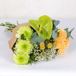 Günstiges Saat Zeit Geschäft -Günstiges Saat Zeit Geschäft 1025700013 DIY Mixbund Gruene Schoenheit Nelke Zembla Crasp Euka Gypso Stat Anth 2 94426