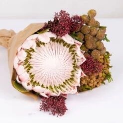 Blumenbund Protea King Mit Skimmie Und Kapgrün, Inkl. Gratis Grußkarte -Günstiges Saat Zeit Geschäft 1025700017 Strauss Protea King mit Skimmia 2 1 101678