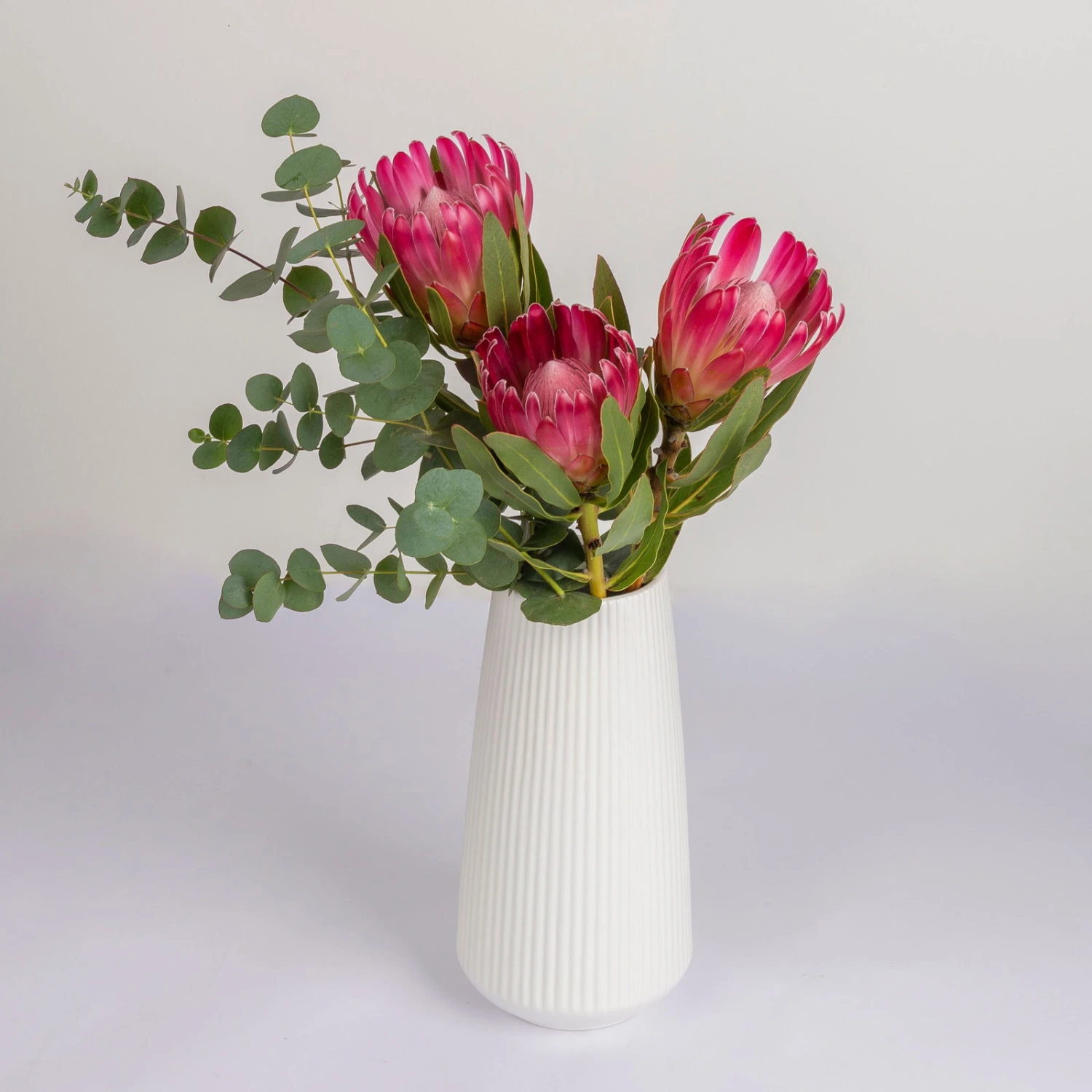 Blumenbund Protea 'Silvia' & Eukalyptus, Inkl. Gratis Grußkarte 5 Blumenbund Protea 'Silvia' & Eukalyptus, Inkl. Gratis Grußkarte – Bild 3