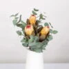Blumenbund Protea & Eukalyptus, Inkl. Gratis Grußkarte -Günstiges Saat Zeit Geschäft 1025700019 Strauss Protea Grandiflora 1 1 101680
