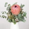 Blumenbund Protea Barbigera Mit Eukalyptus Und Brunia, Inkl. Gratis Grußkarte -Günstiges Saat Zeit Geschäft 1025700025 Strauss Protea Barbi Brun 1 101700