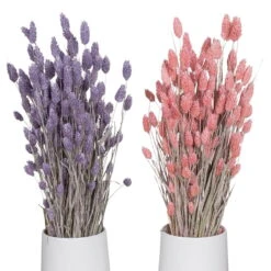 Lila & Rosa Glanzgras, 2er-Set, Länge Ca. 70 Cm