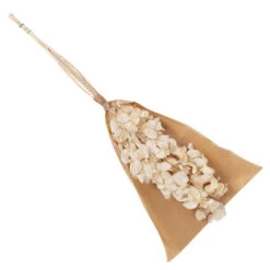 Silbertaler, Getrocknet, Lunaria, Ca. 80 Cm Lang -Günstiges Saat Zeit Geschäft 1055300008 Lunaria weiss mit Tuete 83200