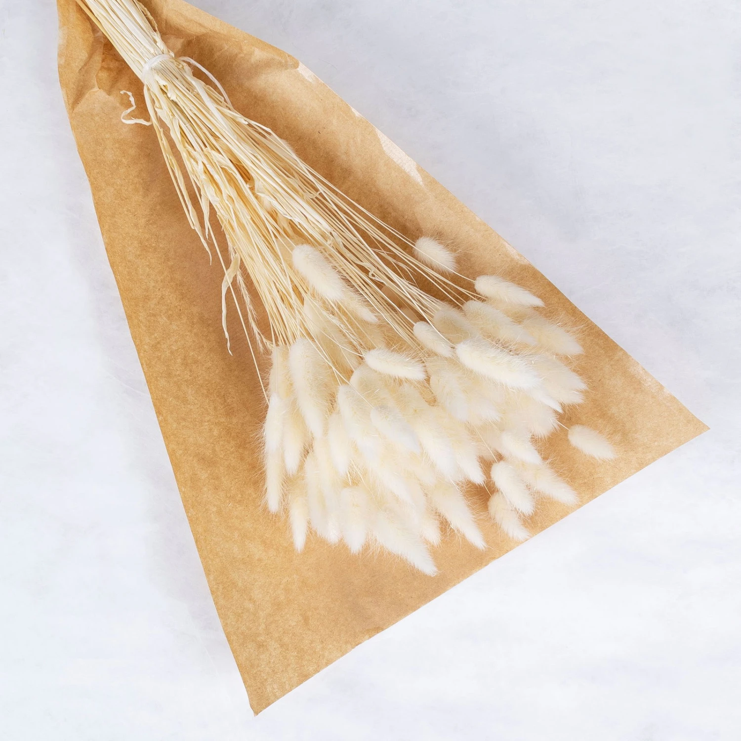 Samtgras Im Bund, Gebleicht Und Getrocknet, Ca. 65 Cm 4 Samtgras Im Bund, Gebleicht Und Getrocknet, Ca. 65 Cm – Bild 2