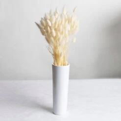 Samtgras Im Bund, Gebleicht Und Getrocknet, Ca. 65 Cm 7 Samtgras Im Bund, Gebleicht Und Getrocknet, Ca. 65 Cm -Günstiges Saat Zeit Geschäft 1055300010 Lagurus gebleicht 2 89168