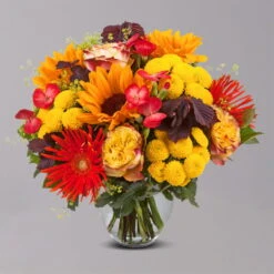 Blumenstrauß 'Sommerabend' Inkl. Gratis Grußkarte -Günstiges Saat Zeit Geschäft 1110600041 Sommer Orange grau 103419