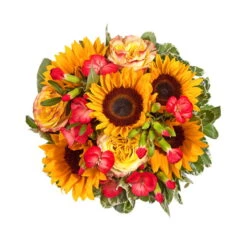 Blumenstrauß 'Viel Glück' Inkl. Gratis Grußkarte -Günstiges Saat Zeit Geschäft 1110600042 Sommer Orange D28cm 2 6662