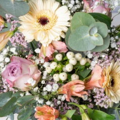 Günstiges Saat Zeit Geschäft -Günstiges Saat Zeit Geschäft 1110600097 strauss stockholm 5 121096