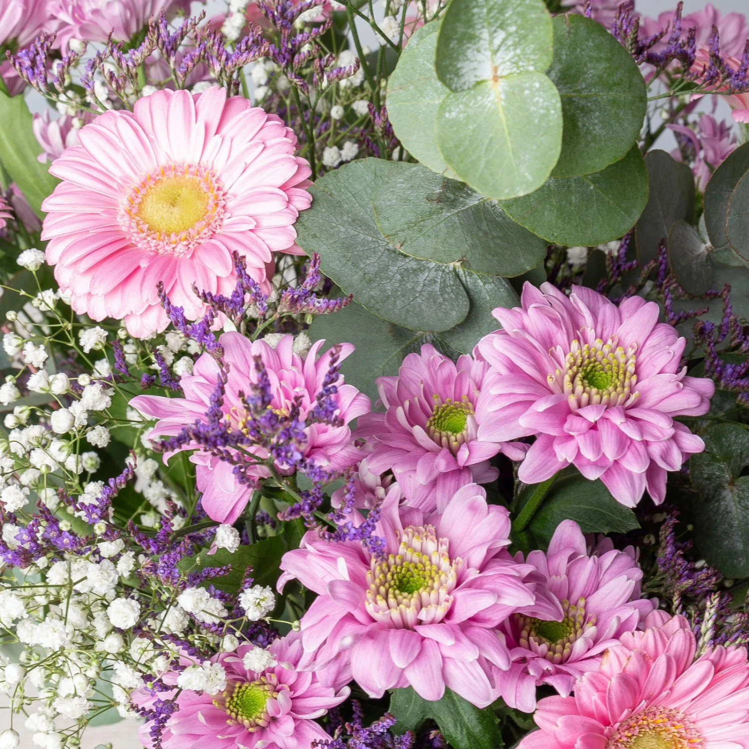 Günstiges Saat Zeit Geschäft -Günstiges Saat Zeit Geschäft 1110600098 strauss toronto 2 121097