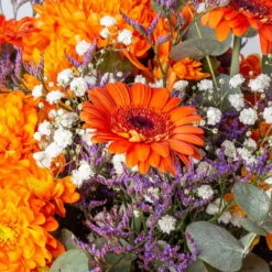 Günstiges Saat Zeit Geschäft -Günstiges Saat Zeit Geschäft 1110600099 strauss rotterdam 1 121098