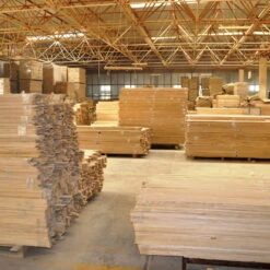 Bio Blauglockenbaum, Co2-Klimabaum 'NordMax21‘ ®, Topf-Ø 15 Cm -Günstiges Saat Zeit Geschäft 1615100163 Blu Klimabaum 4 121718