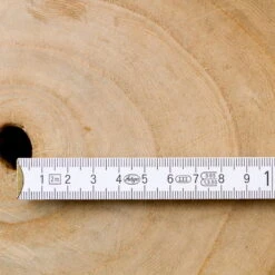 Bio Blauglockenbaum, Co2-Klimabaum 'NordMax21‘ ®, Topf-Ø 15 Cm -Günstiges Saat Zeit Geschäft 1615100163 Blu Klimabaum 5 121717