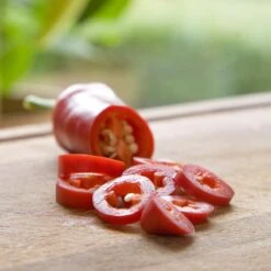 Blu Bio Chilipflanze Zwerg-Chili, Topf-Ø 12 Cm, 3er Set -Günstiges Saat Zeit Geschäft 1620330132 Blu Bio Zwerg Chili mit Fruechte T12 3er Set extra scharf 2 124305