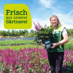 Ausgewählte Produkte -Günstiges Saat Zeit Geschäft frau setz eigenproduktion 28